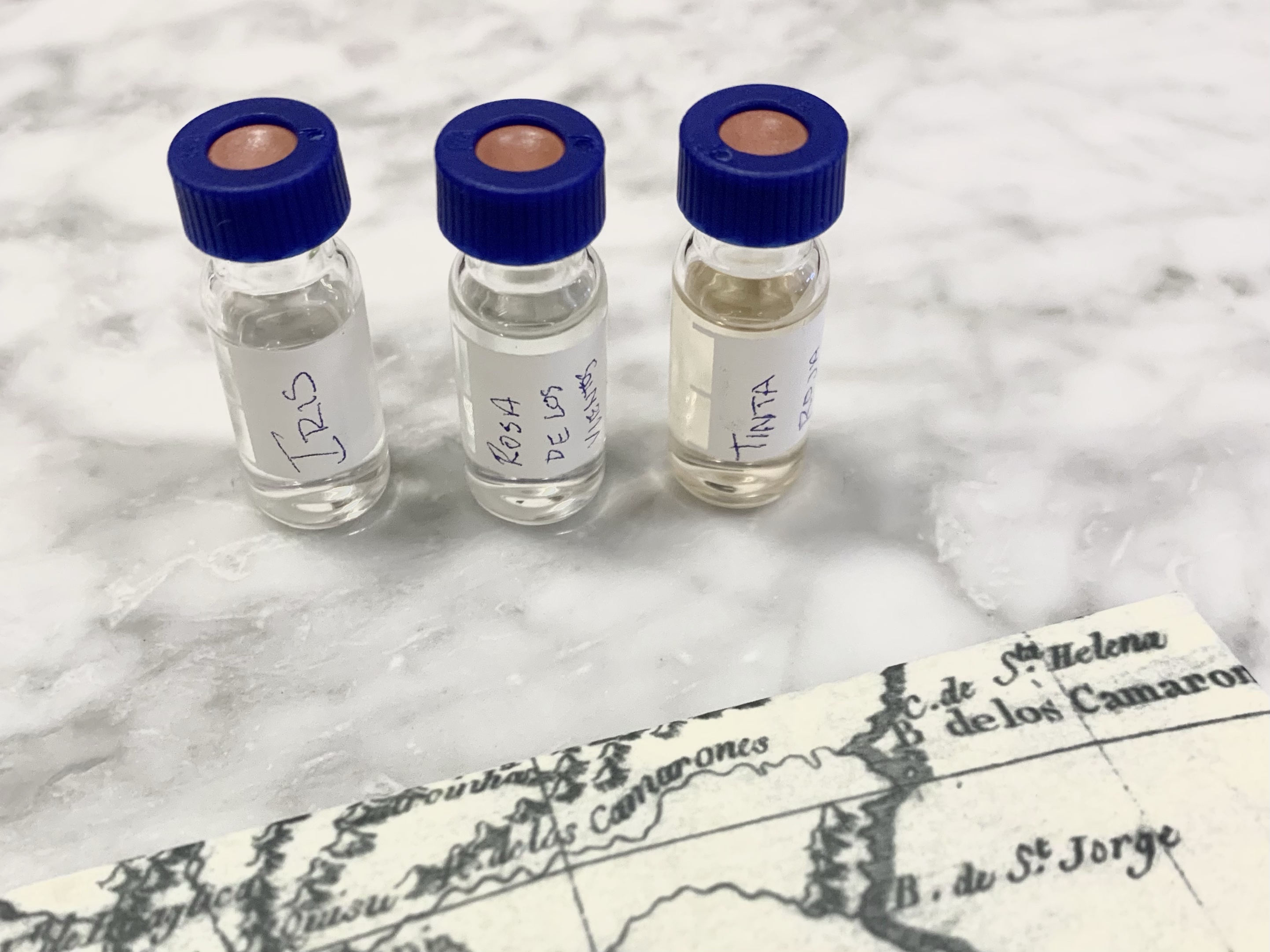 佛伽亞1833 Fueguia 1833 Tinta Roja、Rosa de Los Vientos、Muskara